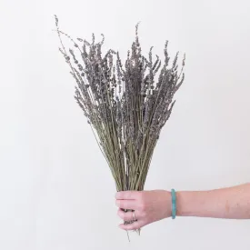 Natural Dried Lavender Flower