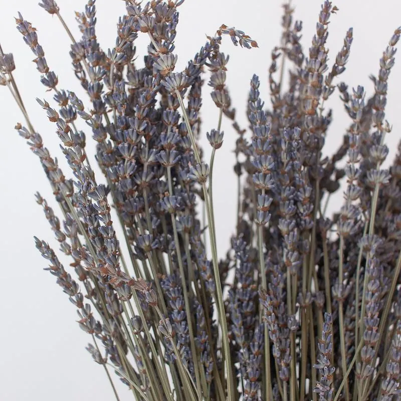 Natural Dried Lavender Flower