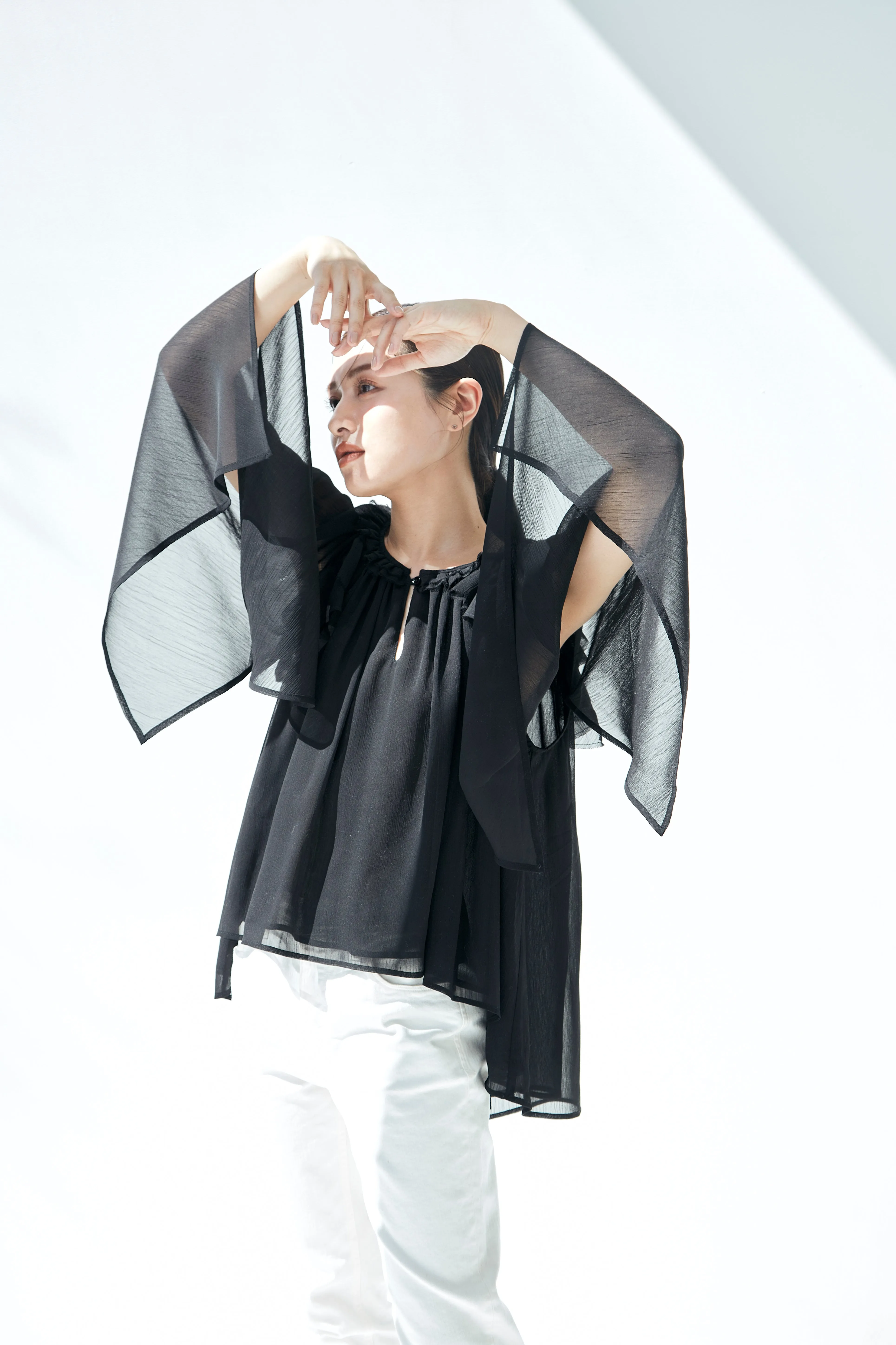 Ruffle chiffon Blouse