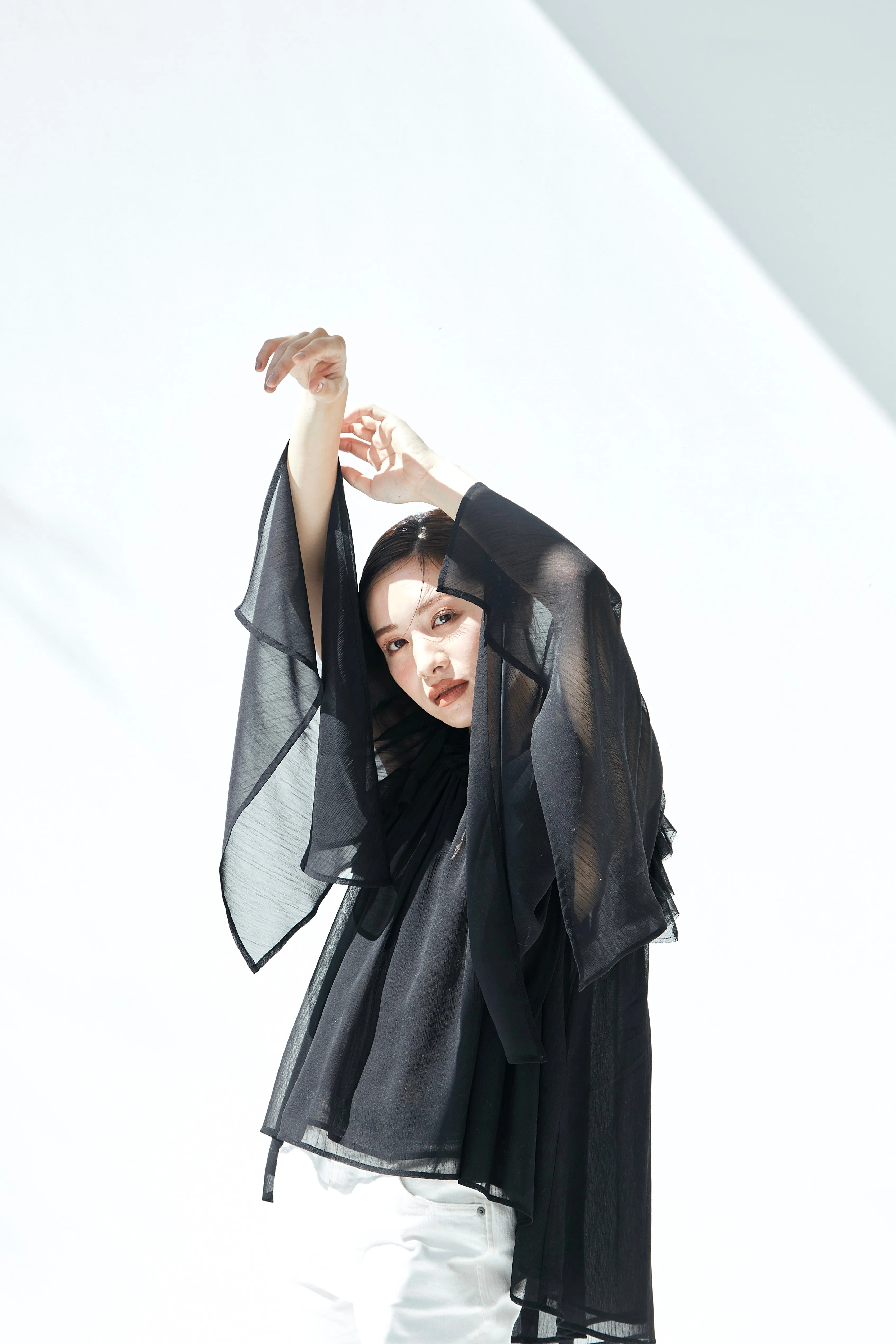 Ruffle chiffon Blouse